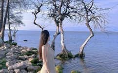 天美传媒兄妹作品的女演员有哪些